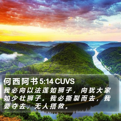 何 西 阿 书 5:14 CUVS Bible Verse Image