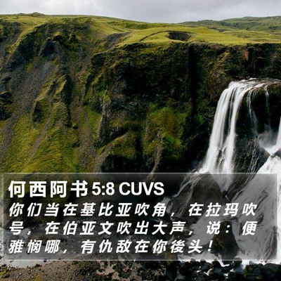 何 西 阿 书 5:8 CUVS Bible Verse Image