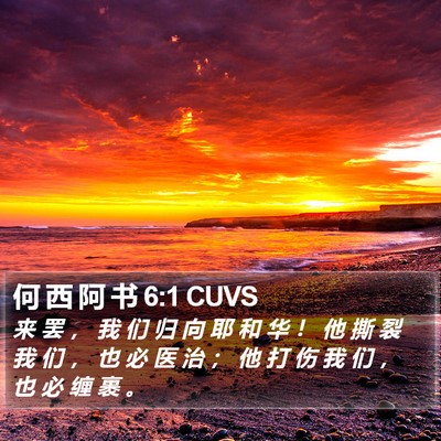 何 西 阿 书 6:1 CUVS Bible Verse Image