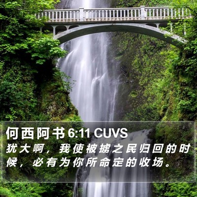 何 西 阿 书 6:11 CUVS Bible Verse Image