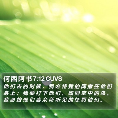 何 西 阿 书 7:12 CUVS Bible Verse Image