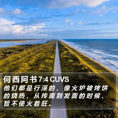 何 西 阿 书 7:4 CUVS Bible Verse Image