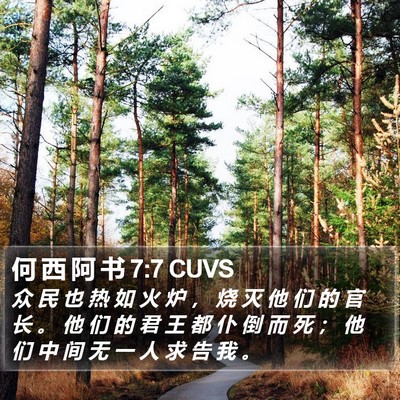 何 西 阿 书 7:7 CUVS Bible Verse Image