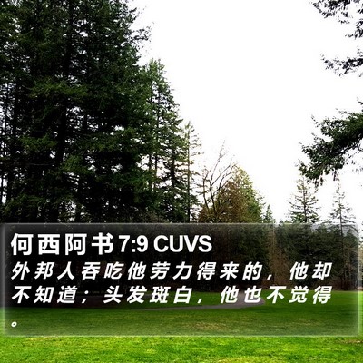 何 西 阿 书 7:9 CUVS Bible Verse Image