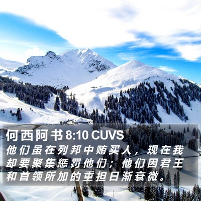 何 西 阿 书 8:10 CUVS Bible Verse Image