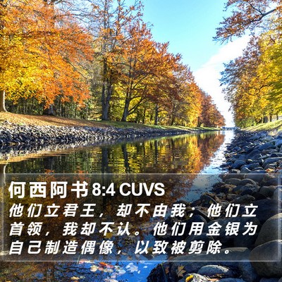 何 西 阿 书 8:4 CUVS Bible Verse Image