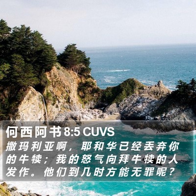 何 西 阿 书 8:5 CUVS Bible Verse Image