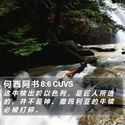 何 西 阿 书 8:6 CUVS Bible Verse Image