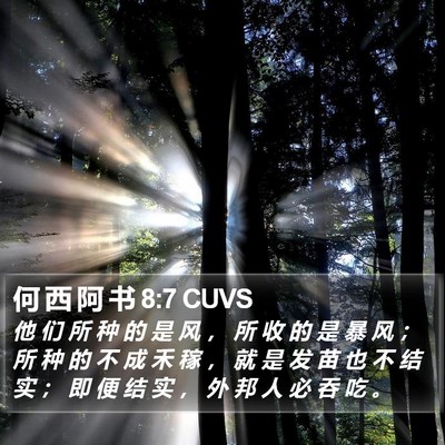 何 西 阿 书 8:7 CUVS Bible Verse Image