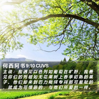 何 西 阿 书 9:10 CUVS Bible Verse Image