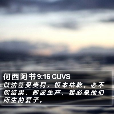 何 西 阿 书 9:16 CUVS Bible Verse Image