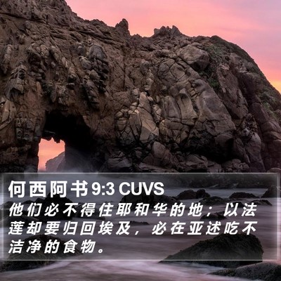 何 西 阿 书 9:3 CUVS Bible Verse Image