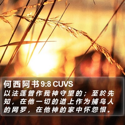 何 西 阿 书 9:8 CUVS Bible Verse Image