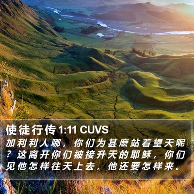 使 徒 行 传 1:11 CUVS Bible Verse Image