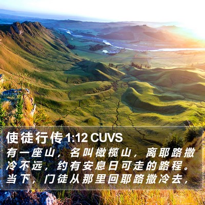 使 徒 行 传 1:12 CUVS Bible Verse Image