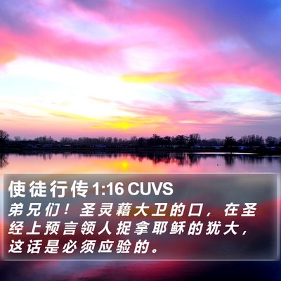使 徒 行 传 1:16 CUVS Bible Verse Image