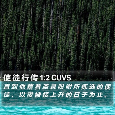 使 徒 行 传 1:2 CUVS Bible Verse Image