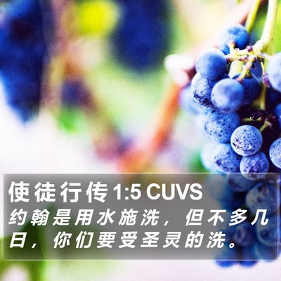 使 徒 行 传 1:5 CUVS Bible Verse Image