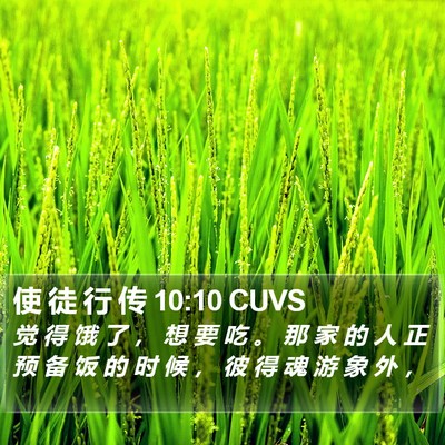 使 徒 行 传 10:10 CUVS Bible Verse Image