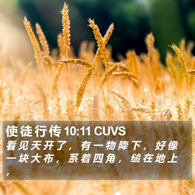 使 徒 行 传 10:11 CUVS Bible Verse Image