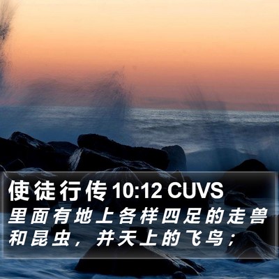 使 徒 行 传 10:12 CUVS Bible Verse Image
