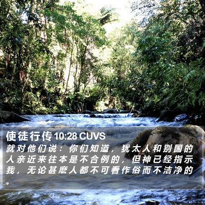 使 徒 行 传 10:28 CUVS Bible Verse Image