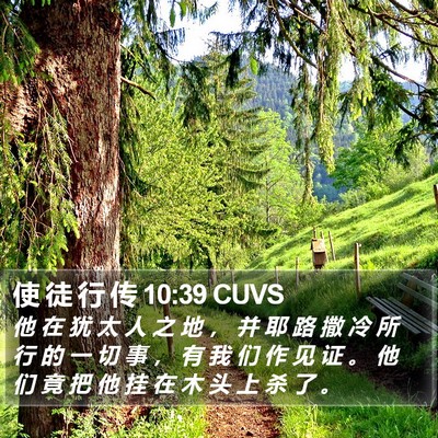 使 徒 行 传 10:39 CUVS Bible Verse Image