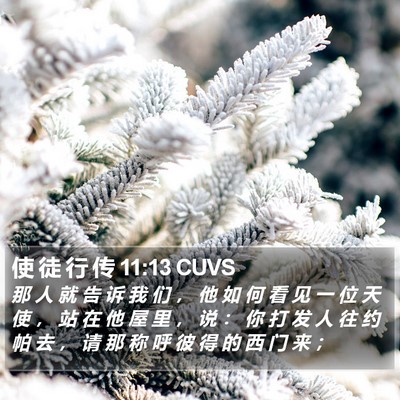使 徒 行 传 11:13 CUVS Bible Verse Image