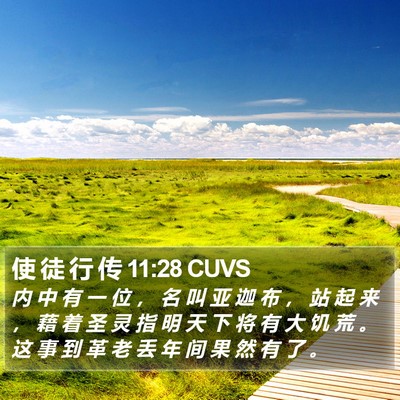 使 徒 行 传 11:28 CUVS Bible Verse Image
