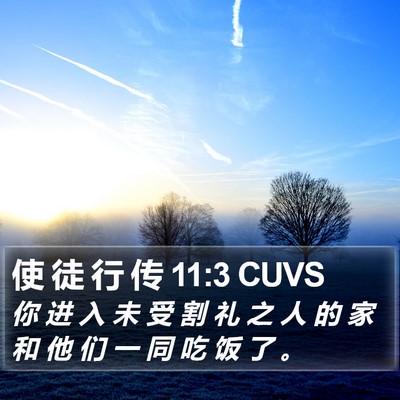 使 徒 行 传 11:3 CUVS Bible Verse Image