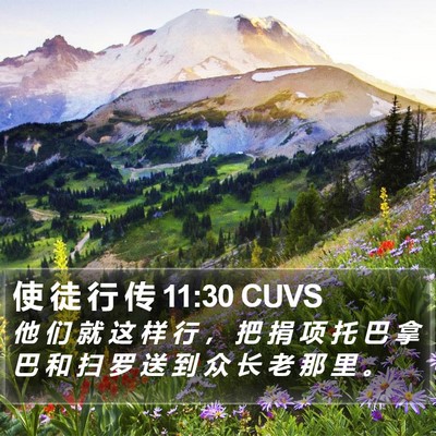 使 徒 行 传 11:30 CUVS Bible Verse Image
