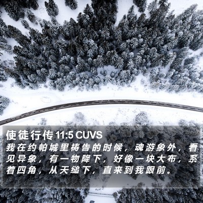 使 徒 行 传 11:5 CUVS Bible Verse Image