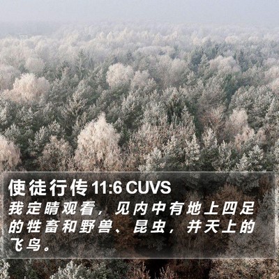 使 徒 行 传 11:6 CUVS Bible Verse Image