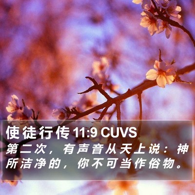 使 徒 行 传 11:9 CUVS Bible Verse Image