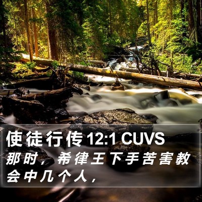 使 徒 行 传 12:1 CUVS Bible Verse Image