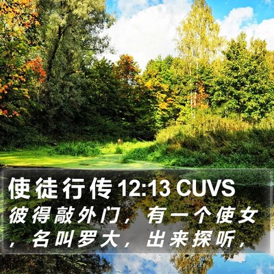 使 徒 行 传 12:13 CUVS Bible Verse Image