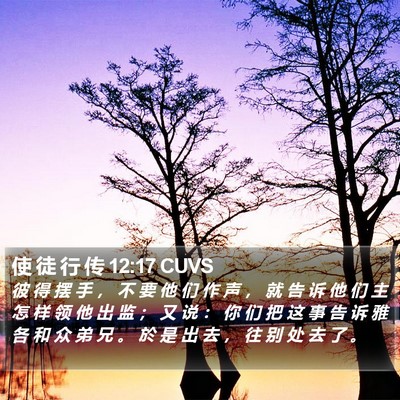 使 徒 行 传 12:17 CUVS Bible Verse Image