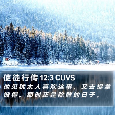 使 徒 行 传 12:3 CUVS Bible Verse Image