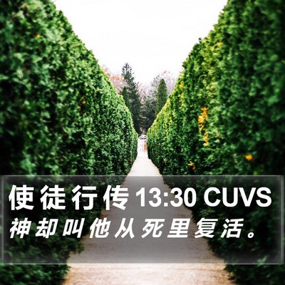 使 徒 行 传 13:30 CUVS Bible Verse Image