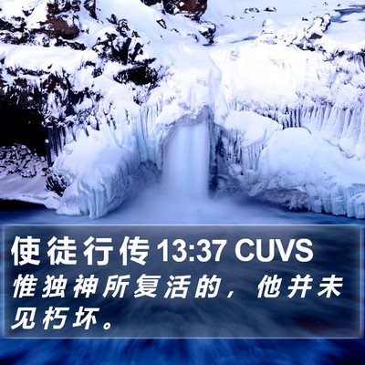 使 徒 行 传 13:37 CUVS Bible Verse Image