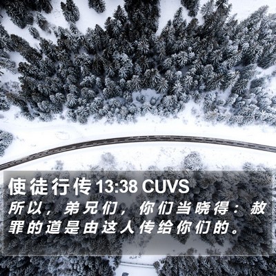 使 徒 行 传 13:38 CUVS Bible Verse Image