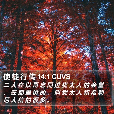 使 徒 行 传 14:1 CUVS Bible Verse Image