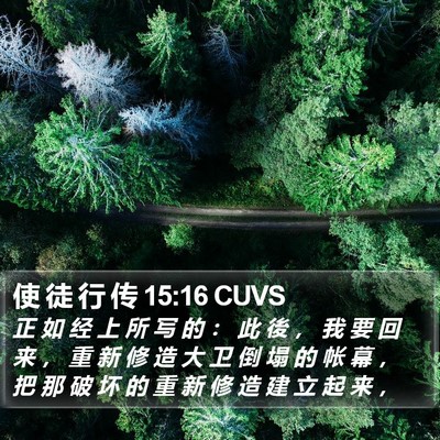 使 徒 行 传 15:16 CUVS Bible Verse Image