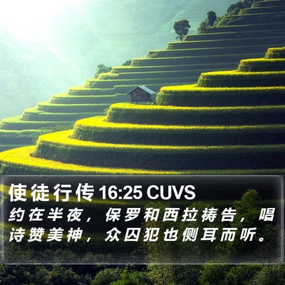 使 徒 行 传 16:25 CUVS Bible Verse Image
