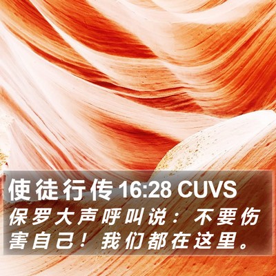 使 徒 行 传 16:28 CUVS Bible Verse Image