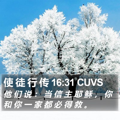 使 徒 行 传 16:31 CUVS Bible Verse Image