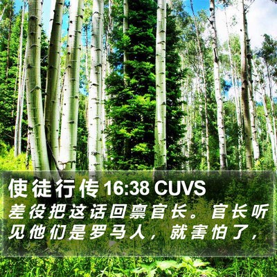 使 徒 行 传 16:38 CUVS Bible Verse Image