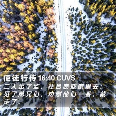 使 徒 行 传 16:40 CUVS Bible Verse Image