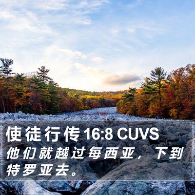 使 徒 行 传 16:8 CUVS Bible Verse Image