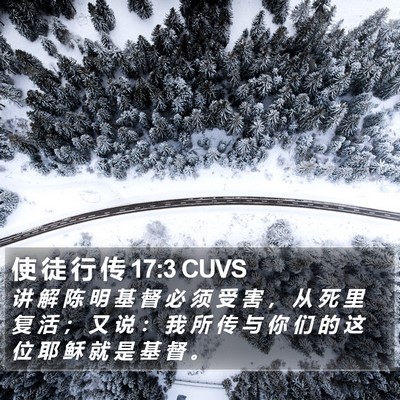 使 徒 行 传 17:3 CUVS Bible Verse Image